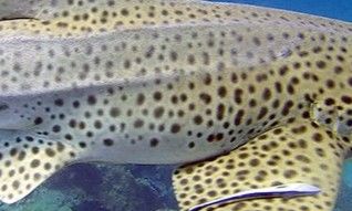 d59a091c-493d-4bcb-95ee-4b333a268e13