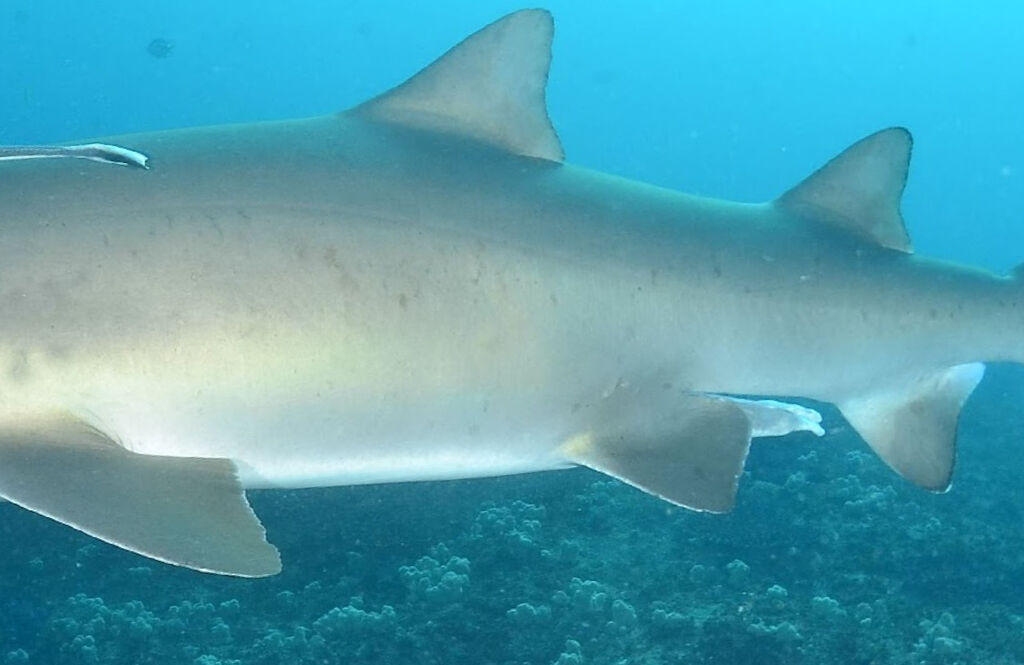 82b6b689-247e-49ad-9d5c-c4239e46d31b