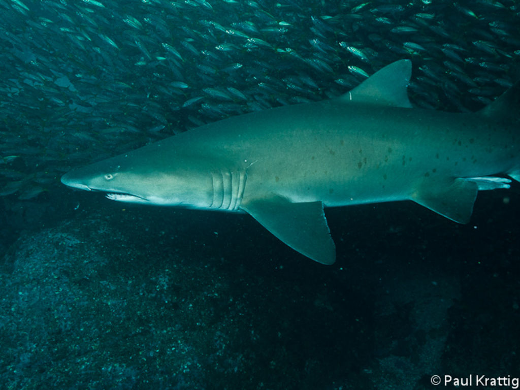 3b08e5e6-b0bd-448f-8dd9-174acefcde2a