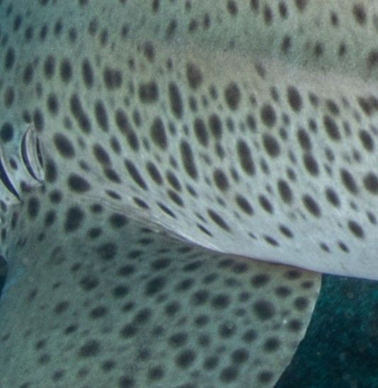 12e0df43-8ab1-4dca-9ad7-ef2d9ae49410