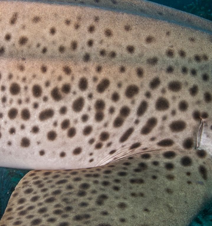 12e0df43-8ab1-4dca-9ad7-ef2d9ae49410