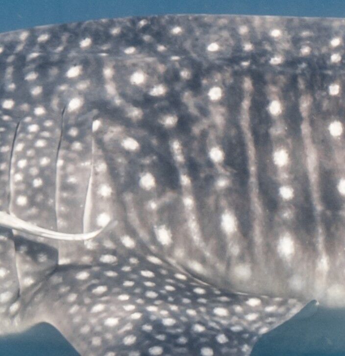 ee2b09ce-641a-4639-b39c-62b0fcdcb28f