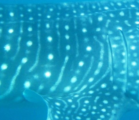 b1f45189-e50a-4b0a-b336-5f41f03419ea