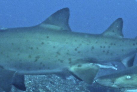 3f7d869e-7dfa-462d-8d77-a473cf758a16