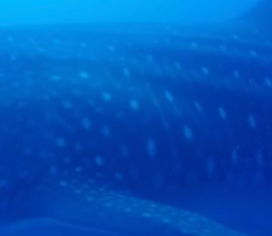 8ea4f42a-34ca-45c7-8e70-8361aeafb93e