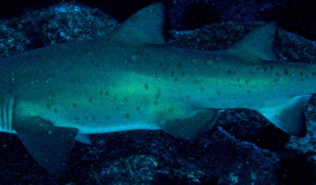 79ad4765-0b94-4b83-9ed7-7e27f052cb6c