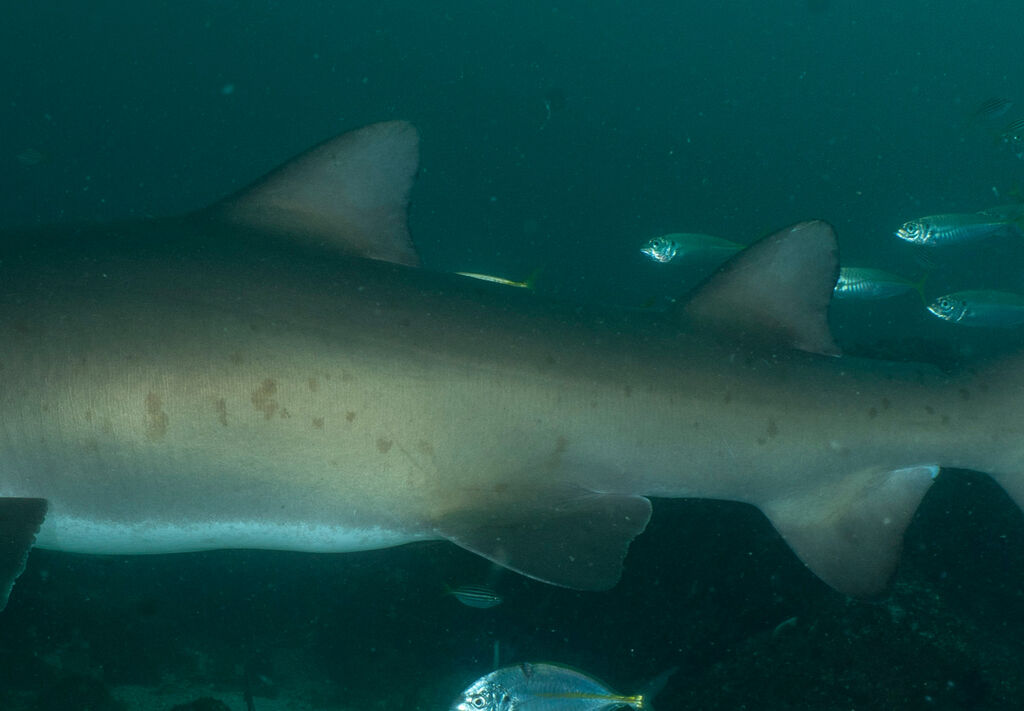 15d78db2-5ef9-4c3e-9023-1b981637b930