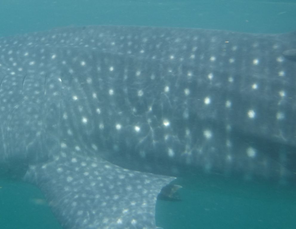 3663ca77-e8f4-474a-9eb7-53e463470678