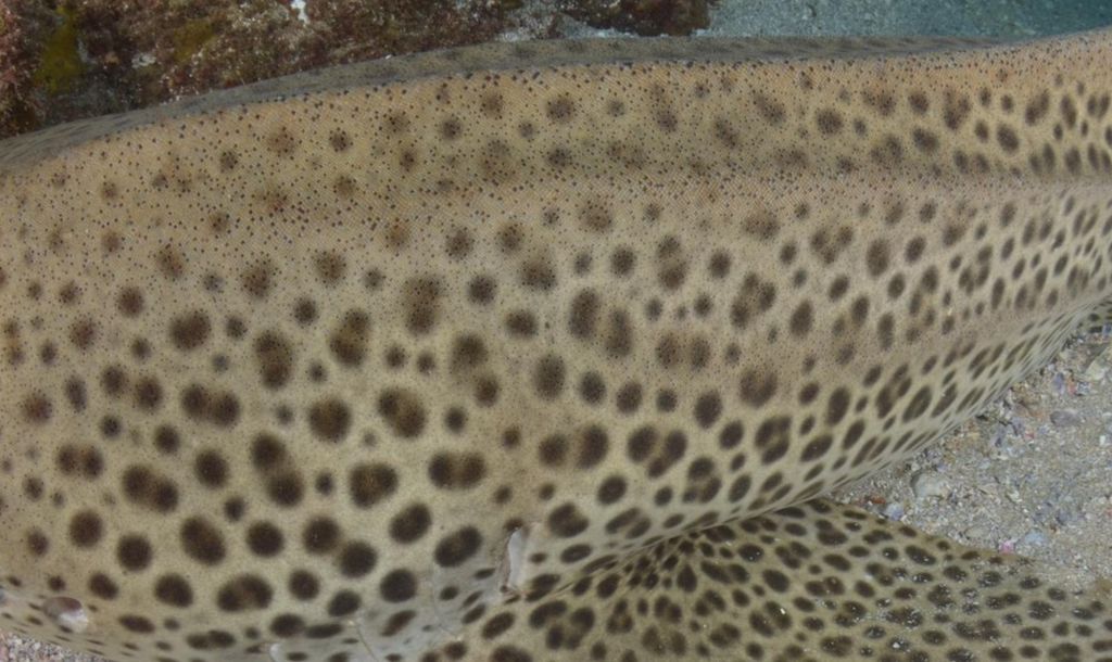 9e2c11ee-d277-4c97-bc47-24c5f2593720