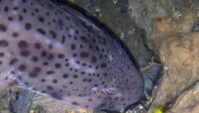 a12f24b8-5a50-4817-b25e-58ce85600c37