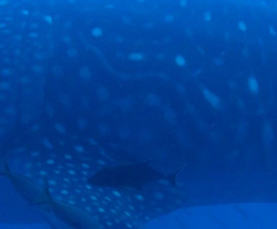 1019ac93-c5e7-4d47-a211-1b7b966ec434