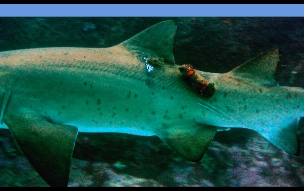 02595c6b-b897-44bf-9c64-cfd4d502ca4b