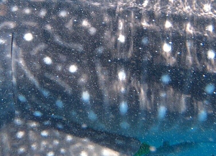 dc44fcfc-7c09-4aa7-b42d-1402e38ee93f