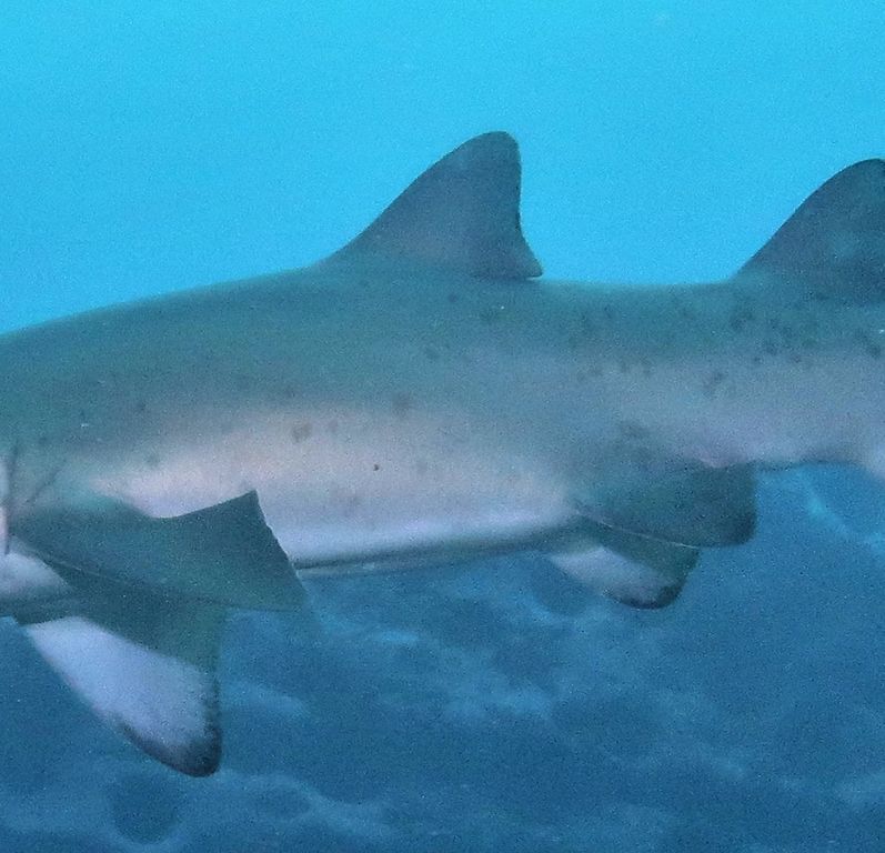 07b0ba96-5e7b-41cd-b957-cf7259ef9e76