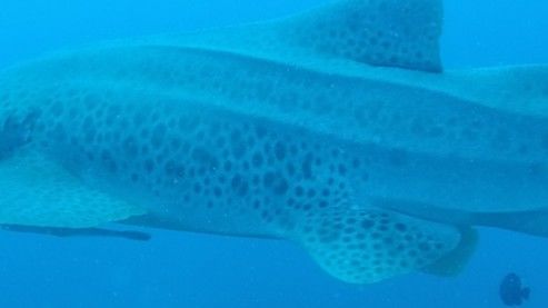 d57e04ca-4fb2-4639-8a06-074974cfdc00