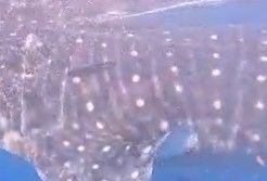 411e1fb5-794c-42d8-9129-95847010ccf5