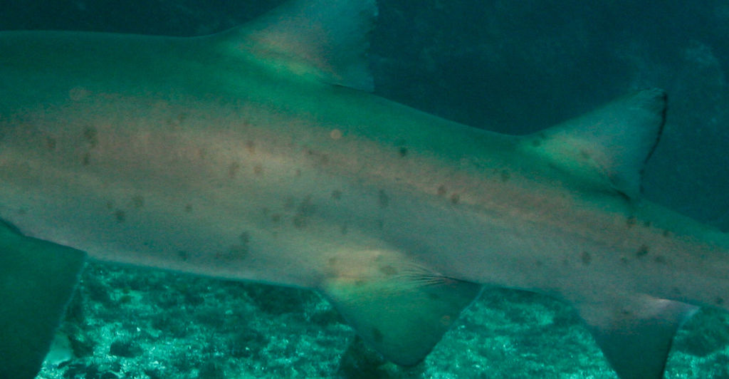 a9b94e28-f1c7-4eff-8c6f-2c83131919f7