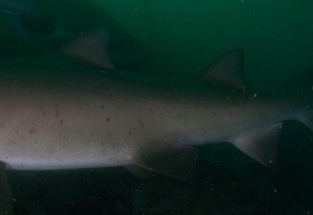 cfb212bc-689b-4915-bbc8-9bd9c252316f