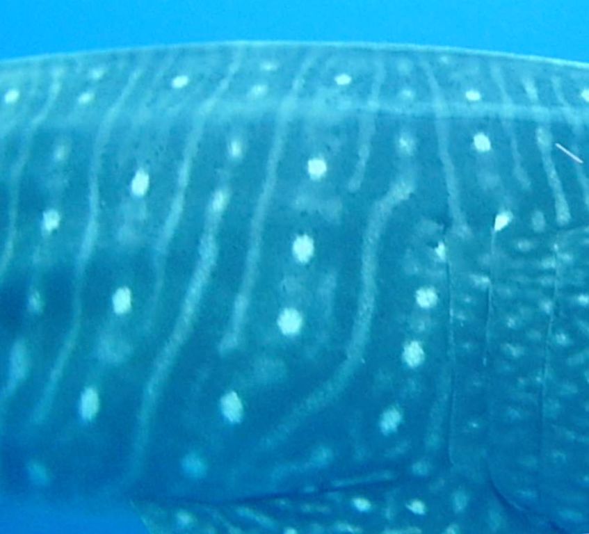 dc7a7a22-be07-4ccf-b254-f7e45f0ea323