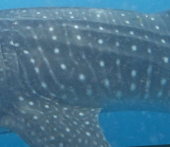 cc087614-079f-431d-87ca-eaaca32b64d0