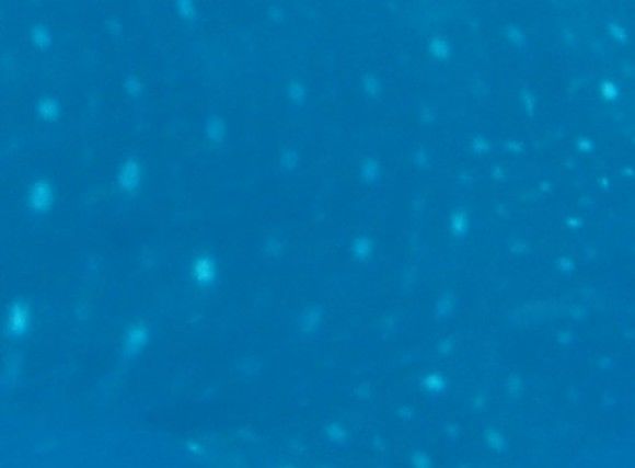 9df9f41b-d95b-489e-8edf-28e7394d11a8