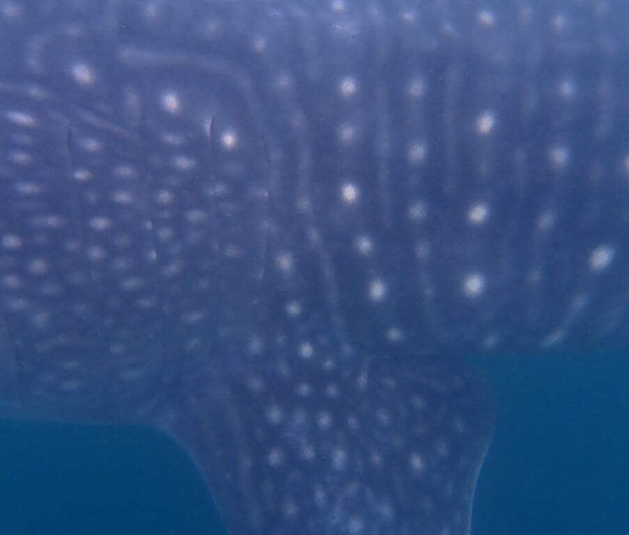 bfeacf2a-91d0-4c5c-8baa-45ae96e6d46f