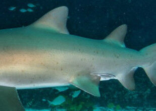 b4f236a3-157e-4e0a-8c6f-ead93eb4b9b0