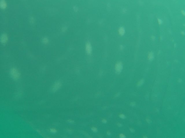 458646f6-0aa7-4906-9164-29c8965690fb