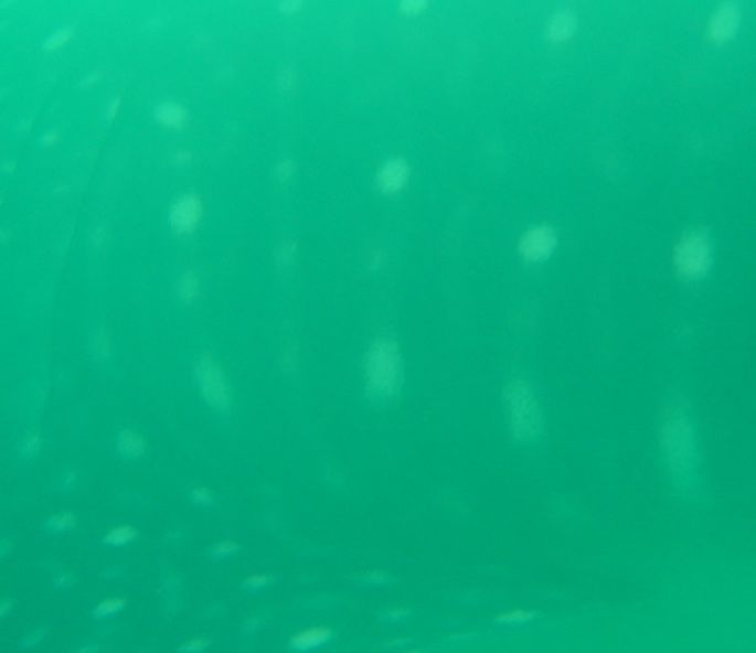 458646f6-0aa7-4906-9164-29c8965690fb