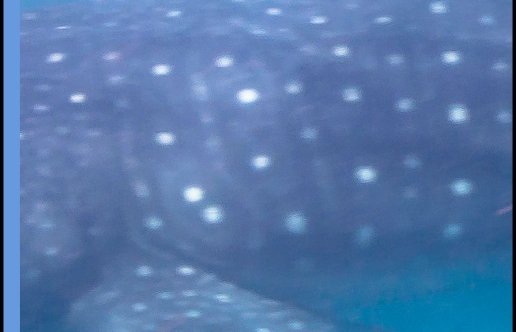 7e7d3227-a545-4fce-933c-706b0b613e3a