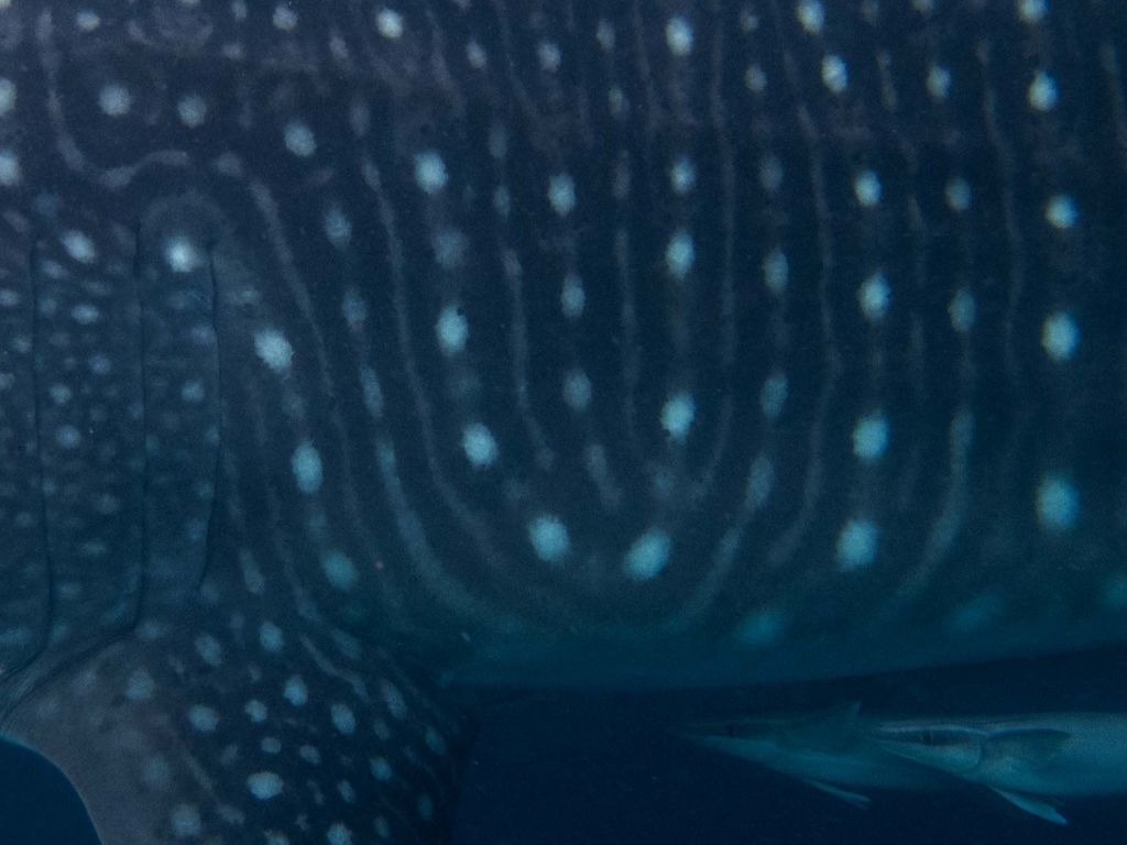 d49998b7-f479-4b2a-a396-f6b83e2fecd7