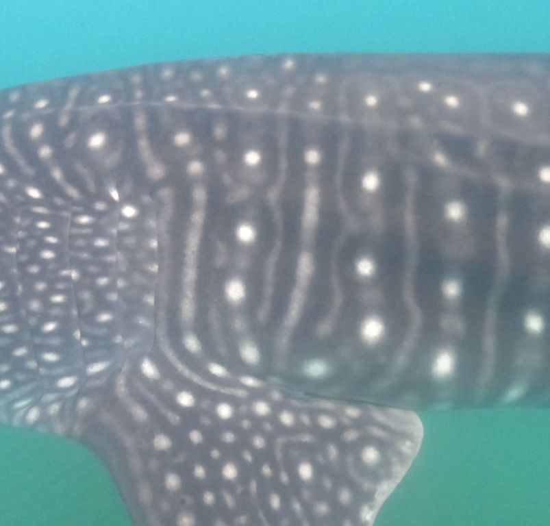 315bcf31-99d6-4897-9bd8-9315c248a1c7