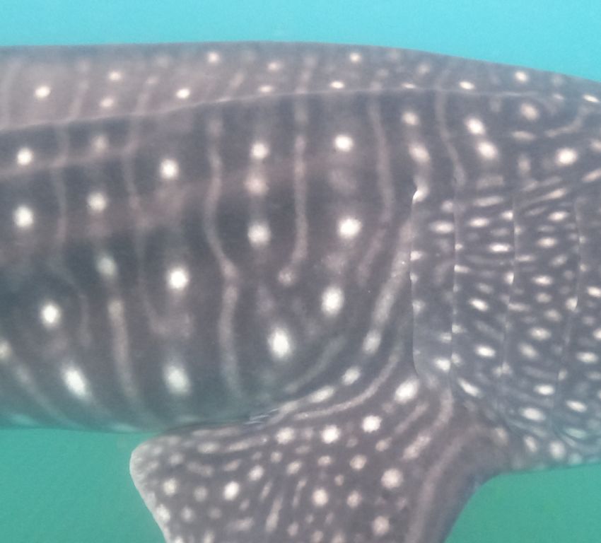 315bcf31-99d6-4897-9bd8-9315c248a1c7