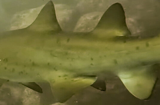 fb50d054-7ec6-47fc-ac58-ceb050860f92