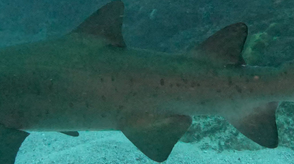 2c7fed76-ca51-4ef4-998d-46dbbeba5435