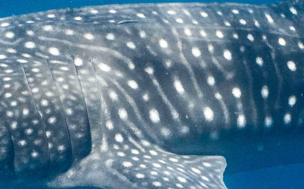 5a93f96f-cc36-4a32-81fc-d8f8b4df8dfb