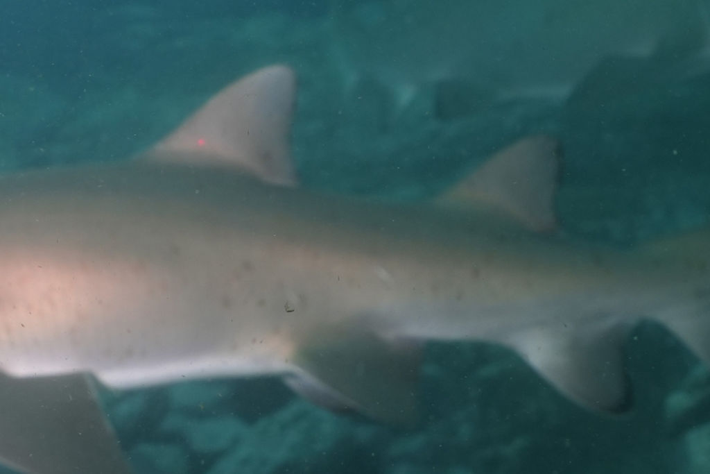 f794932c-58d1-4bfe-8d16-0ea38accaf8c