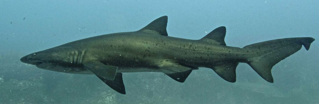 6f79fb43-995f-45ce-ba1a-dd2235b5bebc