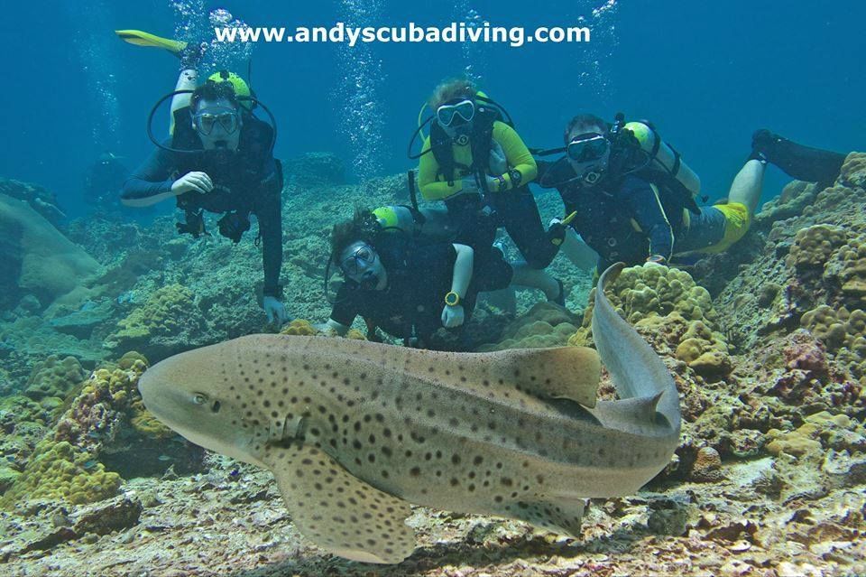 4c031ae7-0fb2-4e8b-87ab-553b5151b02c