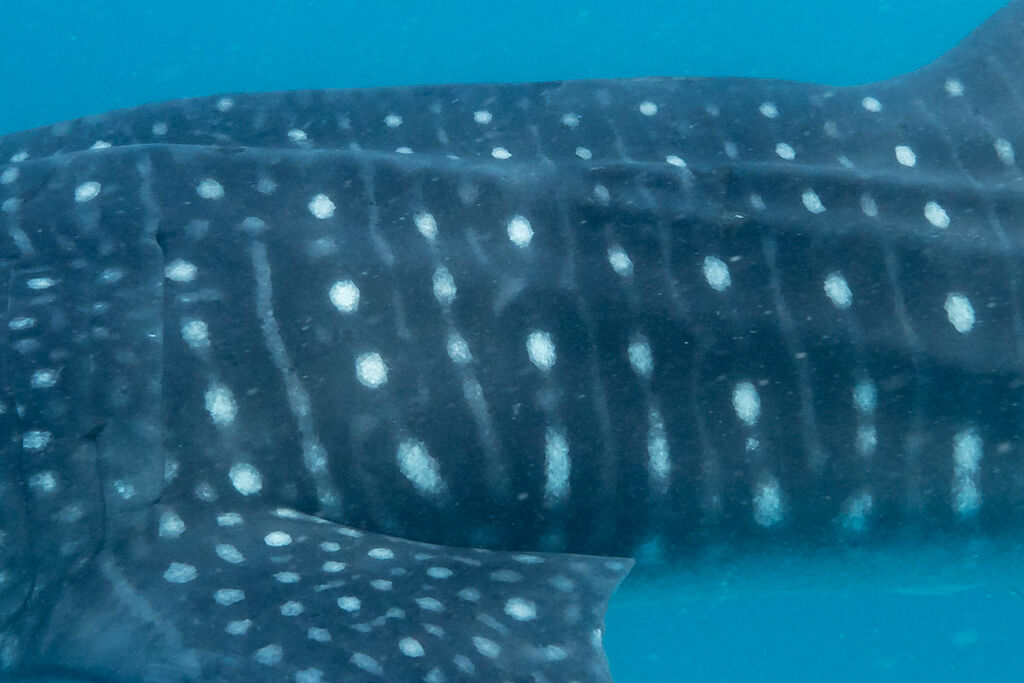 7f30ebd2-b887-4b92-93f7-3b0fa1dc52cc