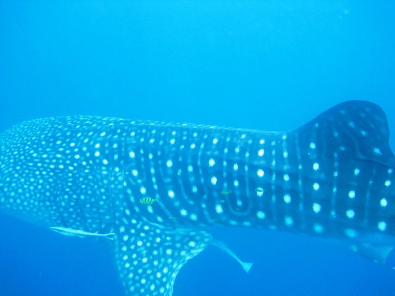 733696f2-5580-4057-ae8e-600568af2e2d