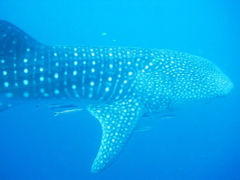 733696f2-5580-4057-ae8e-600568af2e2d