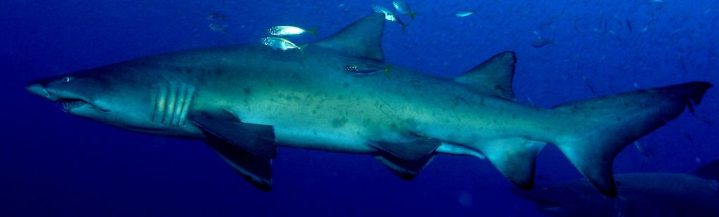 b38df928-ce74-4c8d-b92a-57d03663fe17