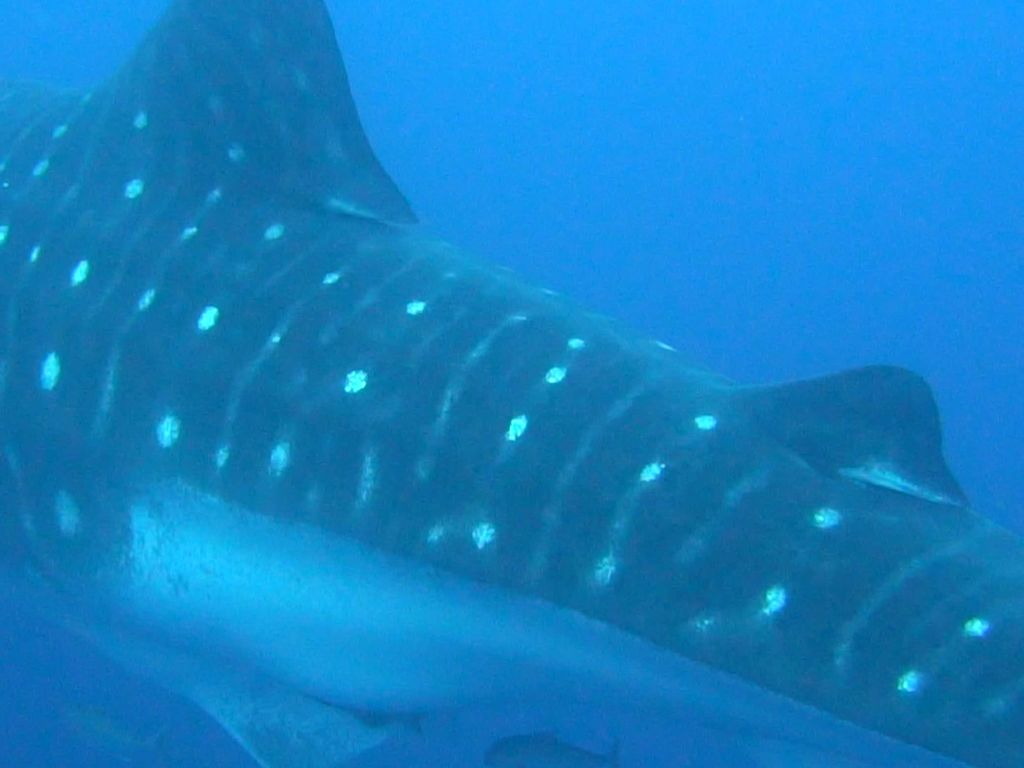 d1989f58-e5ce-4d2a-94c4-a8b50e26326c