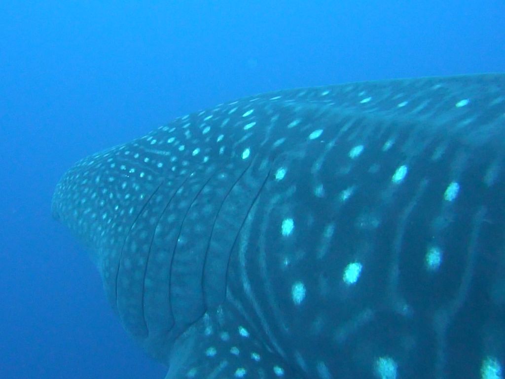 d1989f58-e5ce-4d2a-94c4-a8b50e26326c