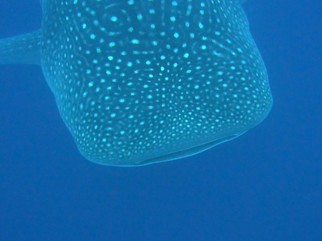 d1989f58-e5ce-4d2a-94c4-a8b50e26326c