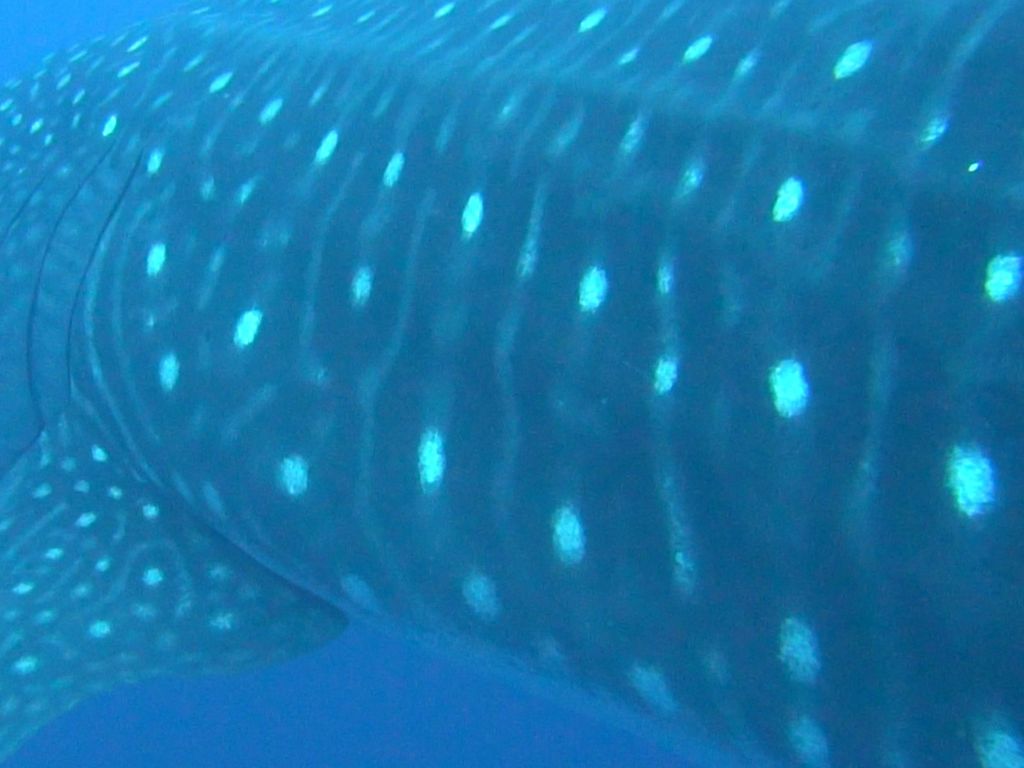 d1989f58-e5ce-4d2a-94c4-a8b50e26326c