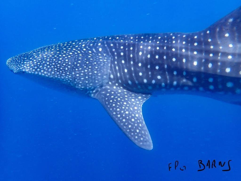 7270f45f-505b-4d2d-b4d4-6d0f6627c15c