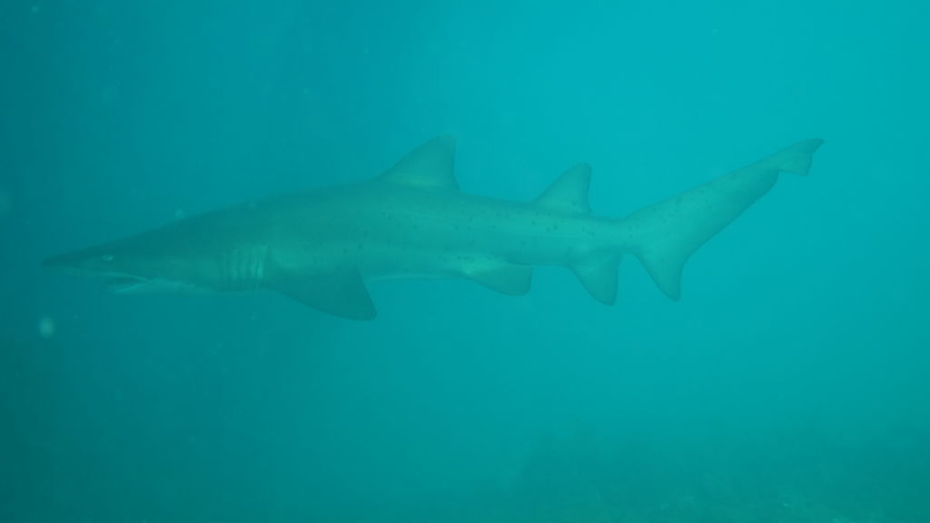 c3c6f44c-4614-4400-ae96-5c83ce794558