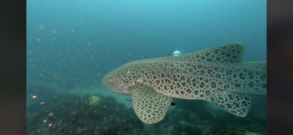 3cad230a-1064-4b2d-9bae-1785b36fe245